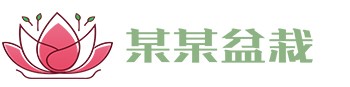 必赢|bwin·必赢(中国)唯一官方网站